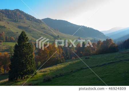 Autumn lansdscape 46924809
