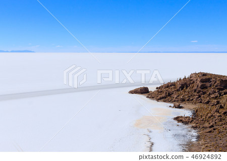 Salar de Uyuni view from Isla Incahuasi Salar de Uyuni view from Isla Incahuasi 46924892