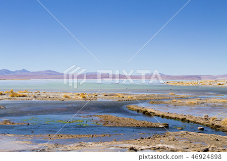 Bolivian lagoon landscape,Bolivia 46924898