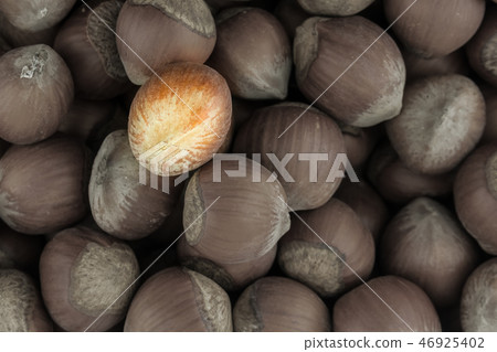 one of the many light brown walnut forest against 46925402