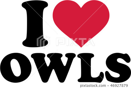 I love owls I love owls 46927879