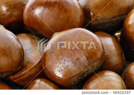 甜栗子（深度合成） 46928397