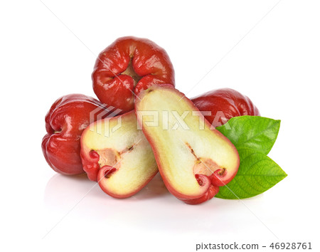 rose apple isolated on white background rose apple isolated on white background 46928761