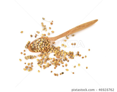 Top view of coriander seeds in wood spoon Top view of coriander seeds in wood spoon 46928762