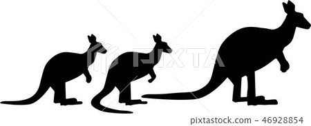 Kangaroo familiy Kangaroo familiy 46928854