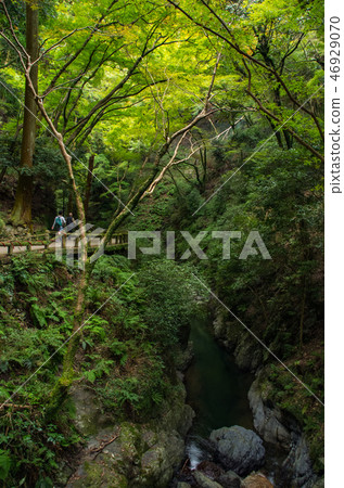 Landscape of Mino Otaki / waterfall road 46929070