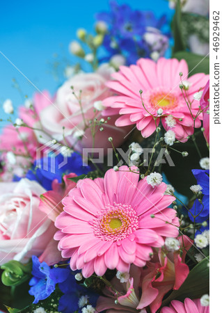 花籃 花籃 46929462