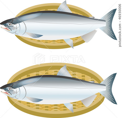 密友 密友 46930006