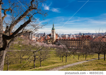 Prague city seen from the Petrin Gardens Prague city seen from the Petrin Gardens 46930191