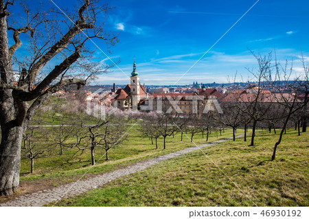 Prague city seen from the Petrin Gardens Prague city seen from the Petrin Gardens 46930192