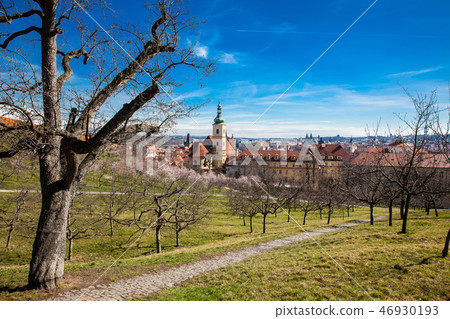 Prague city seen from the Petrin Gardens 46930193