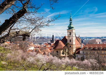 Prague city seen from the Petrin Gardens Prague city seen from the Petrin Gardens 46930194