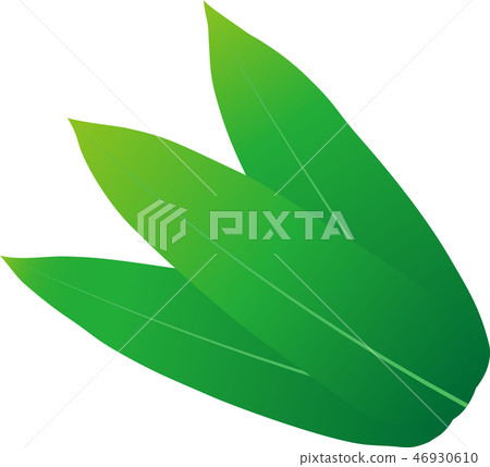 竹葉 竹葉 46930610