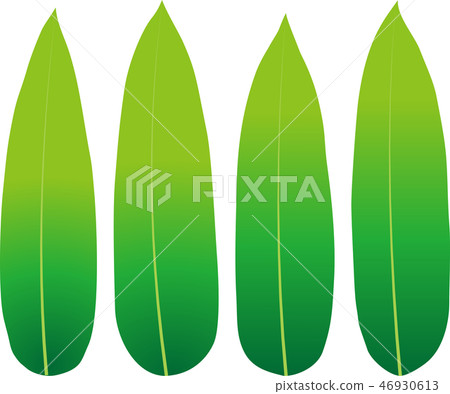 Bamboo leaf  46930613