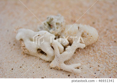 Coral reefs found at the southernmost tip of Japan Coral reefs found at the southernmost tip of Japan 46931341