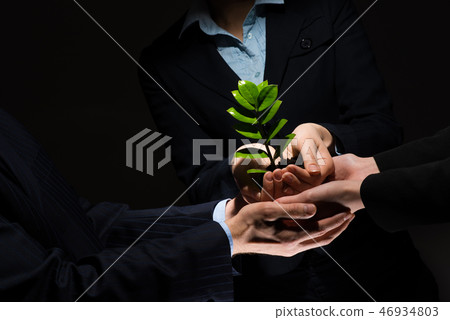 Sprout in hands Sprout in hands 46934803