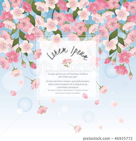 floral, cherry tree, frame 46935772