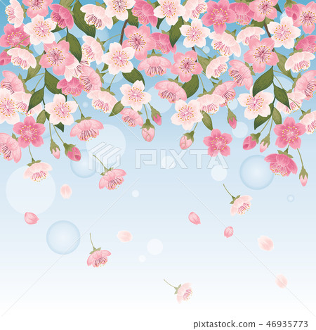floral, cherry tree, sakura 46935773