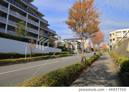 從川崎市阿蘇區3至4 Manfukuji Temple觀看Yurigaoka（東側） 46937350