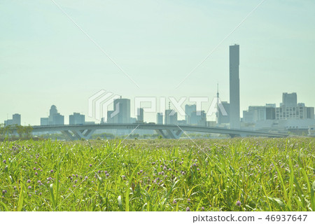 A city A city 46937647
