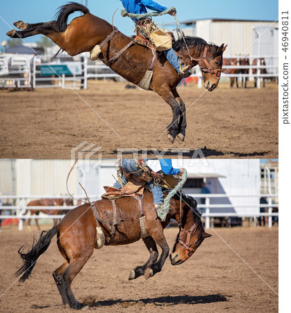 Cowboy And Bucking Saddle Bronco Collage 46940811