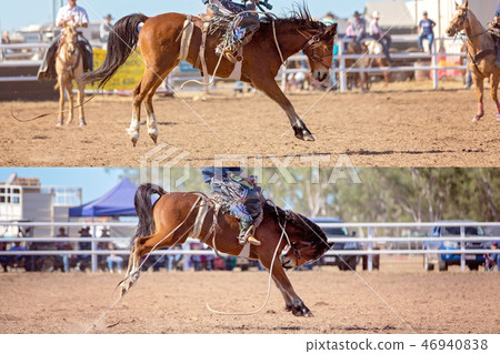Cowboy And Bucking Saddle Bronco Collage 46940838
