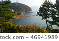 海 46941989