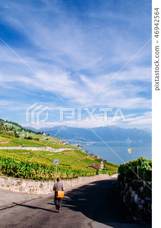 Small street and lake Geneva view of Chexbres town Small street and lake Geneva view of Chexbres town 46942564
