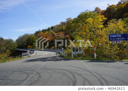 Summer oil is colored leaves season Summer oil is colored leaves season 46942611