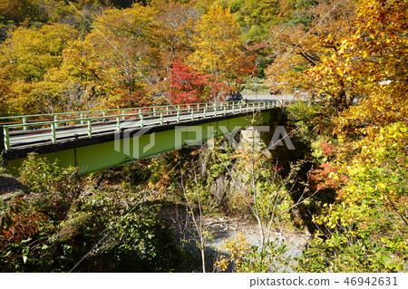 Summer oil is colored leaves season 46942631