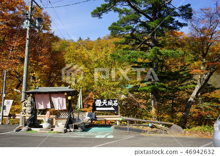 Summer oil is colored leaves season 46942632