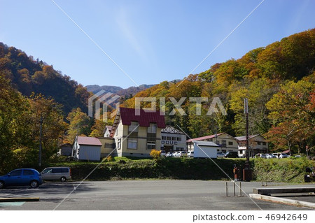 夏季油是彩色的葉子季節 夏季油是彩色的葉子季節 46942649