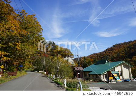 Summer oil is colored leaves season 46942650