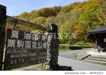 夏季油是彩色的葉子季節 夏季油是彩色的葉子季節 46942652