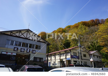 Summer oil is colored leaves season 46942660