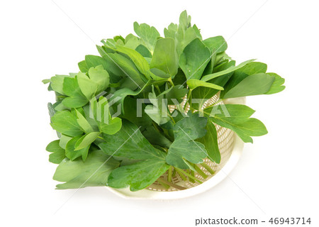 長壽 長壽 46943714