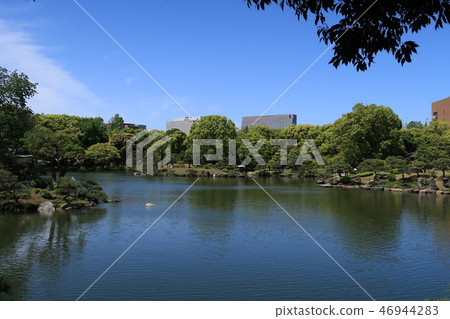 春天清澄花園B. 46944283