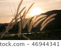 sunset 46944341