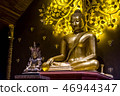 Buddha 46944347