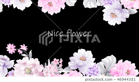 好看的玫瑰花和牡丹花花卉 46944381