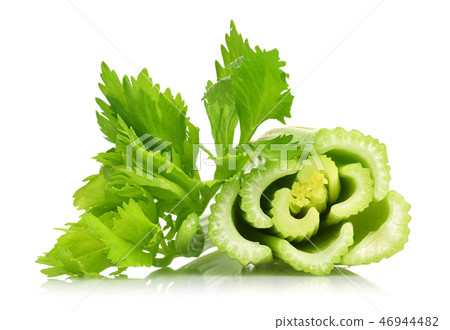 Fresh celery stalks on white background Fresh celery stalks on white background 46944482