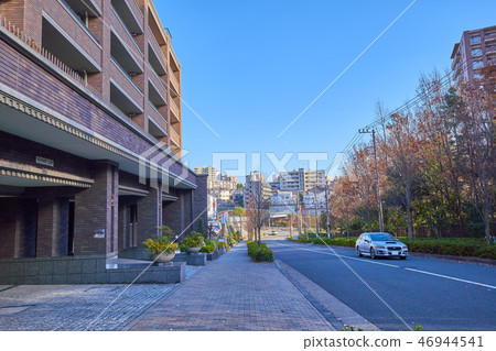 從第4區，第4區，Asaku區，川崎市，第2區，第3區到Manfukuji區，Tsukui Michi（縣道3號線） 46944541