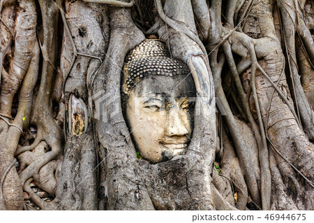 Ancient Buddha head in tree roots at Wat Mahathat Ancient Buddha head in tree roots at Wat Mahathat 46944675