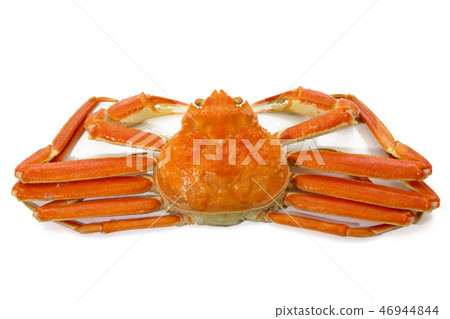 Snow crab (depth composition) 46944844
