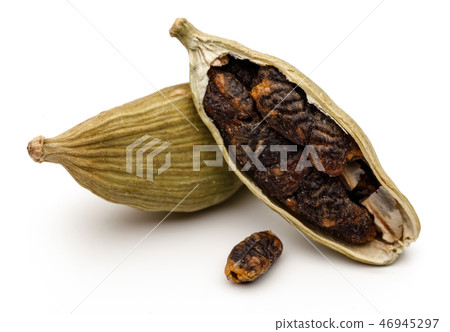 Green cardamom pods and seeds on white background Green cardamom pods and seeds on white background 46945297