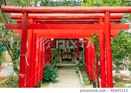Akatorii Jonai Inari Shrine 46945313