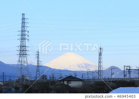 Kozu 46945403