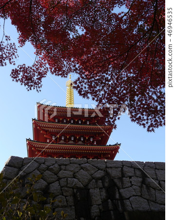 Takahata Fudoson Five-storied Pagoda(秋季) Takahata Fudoson Five-storied Pagoda(秋季) 46946535