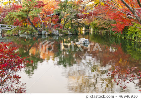 Autumn leaves scenery of Eikan-do in Kyoto. Autumn leaves scenery of Eikan-do in Kyoto. 46946910