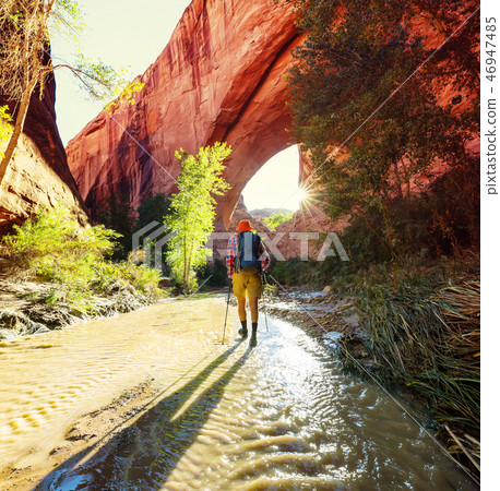 Coyote Buttes 46947485